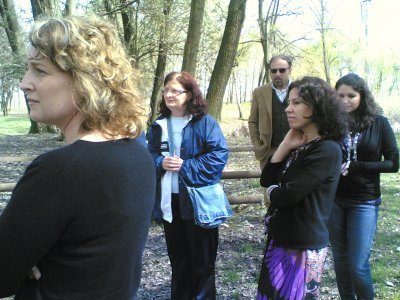 image pn22-jpg