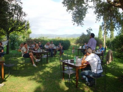 image bolgheri10-jpg