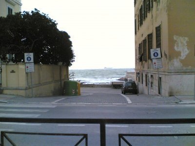 image mare-mosso-jpg
