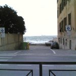 image mare-mosso-jpg
