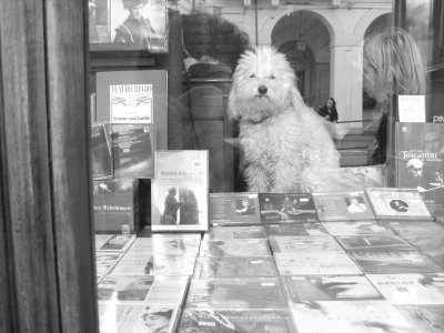 image torino13-jpg