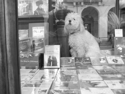 image torino14-jpg