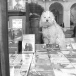 image torino13-jpg