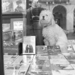 image torino14-jpg