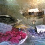 image rosa-salva-jpg